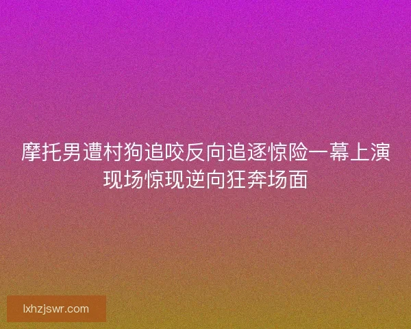 摩托男遭村狗追咬反向追逐惊险一幕上演现场惊现逆向狂奔场面
