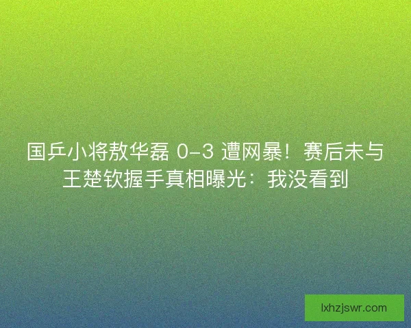 国乒小将敖华磊 0-3 遭网暴！赛后未与王楚钦握手真相曝光：我没看到